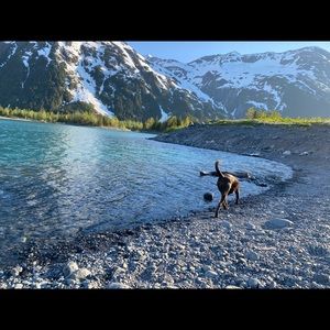 Meet your Posher, Nancy